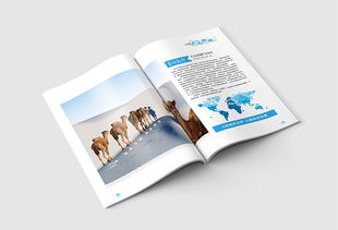 企業畫冊 公司簡介 產品畫冊 科技畫冊 商務畫冊